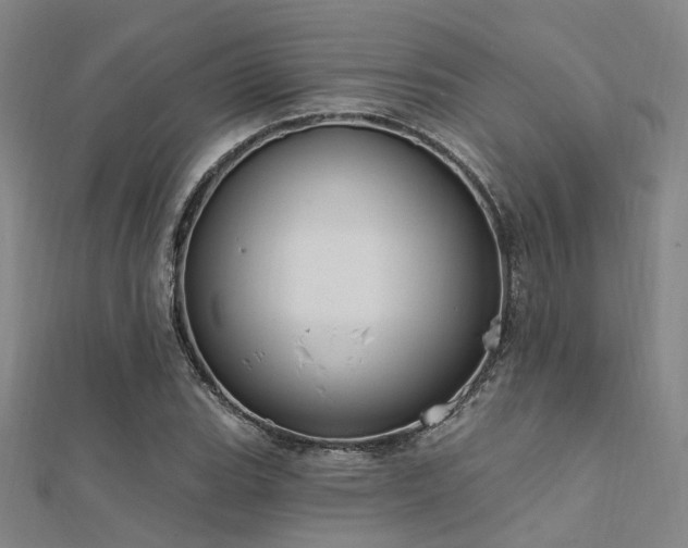 X0000112351119200908131422