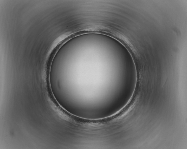 X0000112351122200908131423