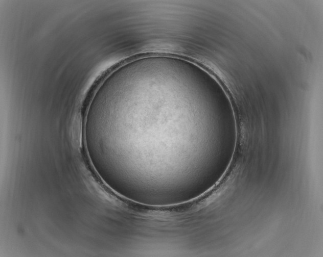 X0000112351123200908131423