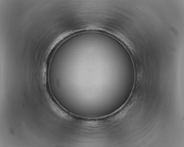 X0000112351126200908131423