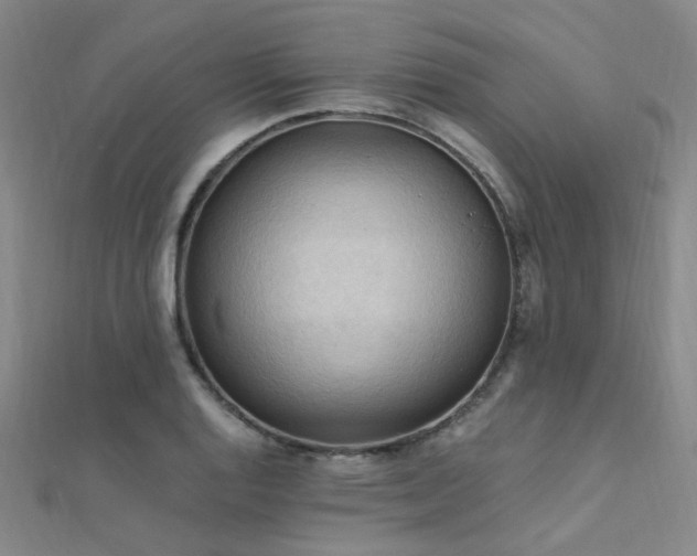 X0000112351128200908131423