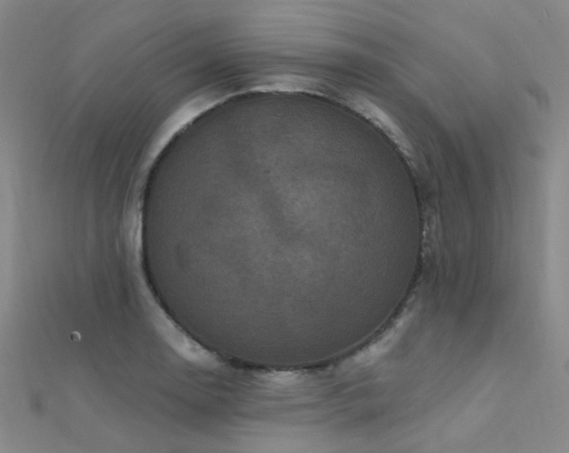 X0000112351130200908131423