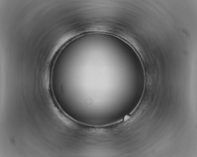 X0000112351131200908131423