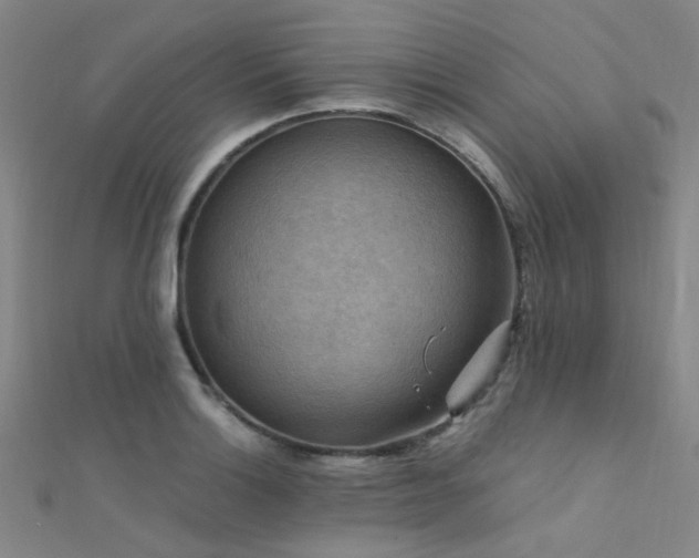 X0000112351132200908131423