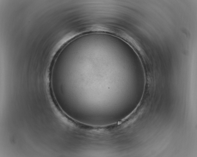 X0000112351133200908131423