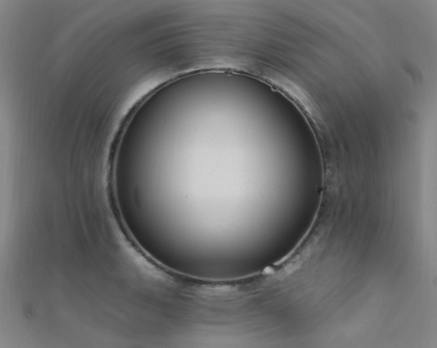 X0000112351135200908131423