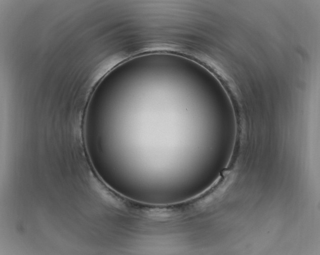 X0000112351137200908131423