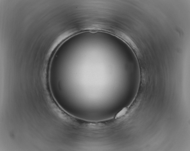 X0000112351138200908131423