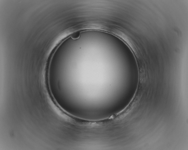 X0000112351139200908131423