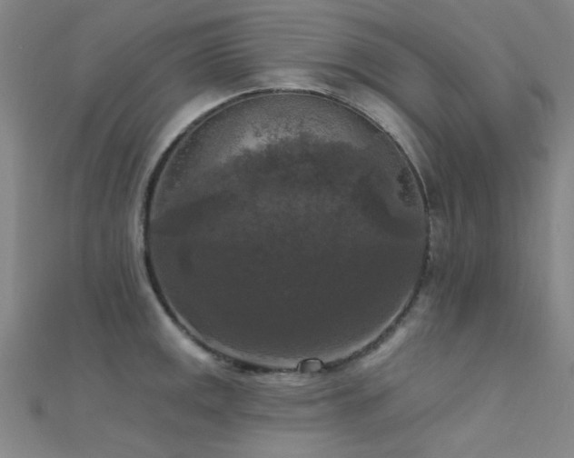 X0000112351141200908131423