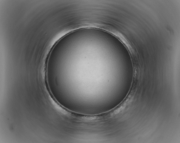 X0000112351143200908131423