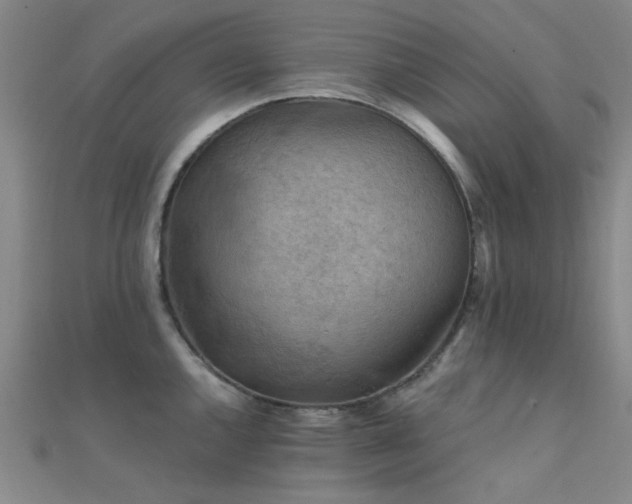 X0000112351144200908131423