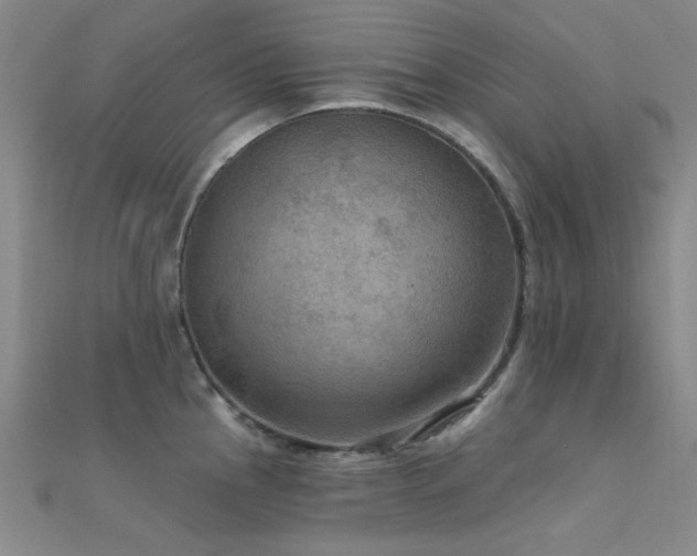 X0000112351145200908131423
