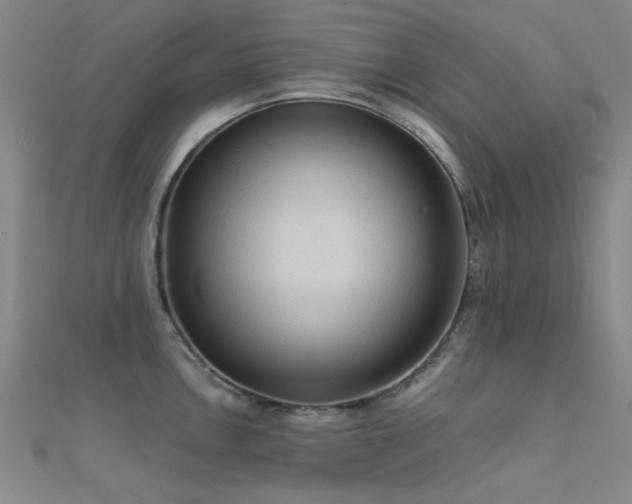 X0000112351146200908131423