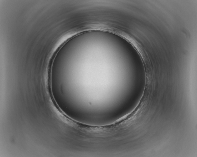 X0000112351147200908131423