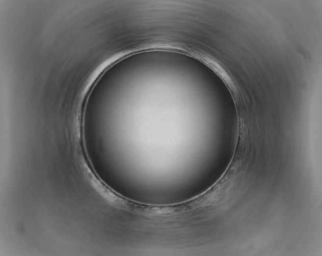X0000112351148200908131423