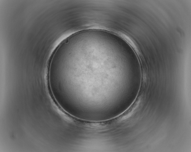 X0000112351149200908131423
