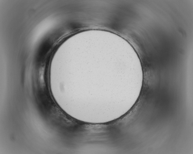 X0000112351150200908131423