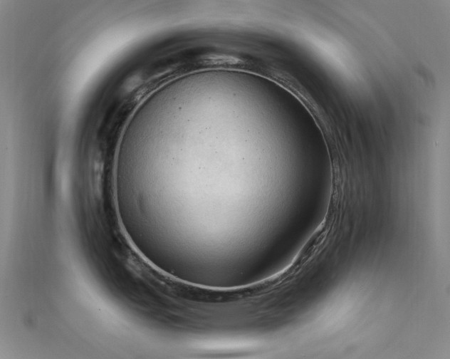 X0000112351151200908131423