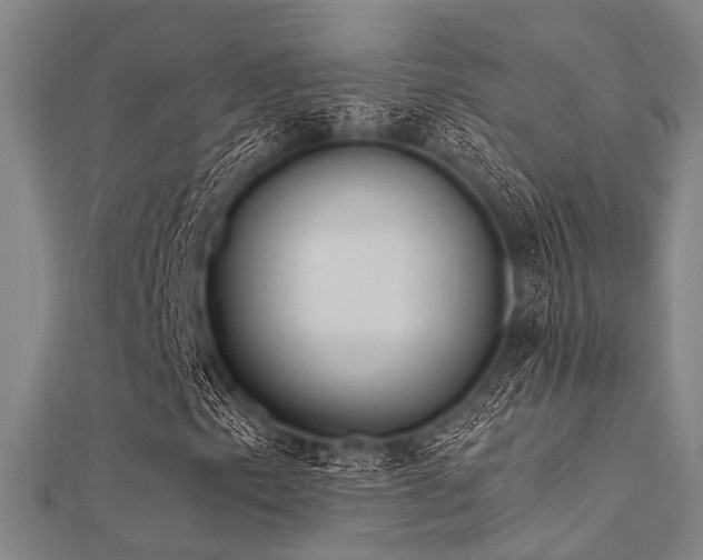 X0000112351153200908131422