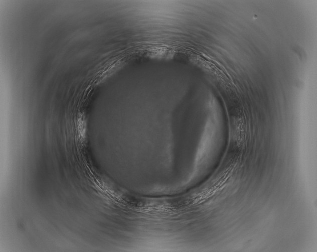 X0000112351154200908131422