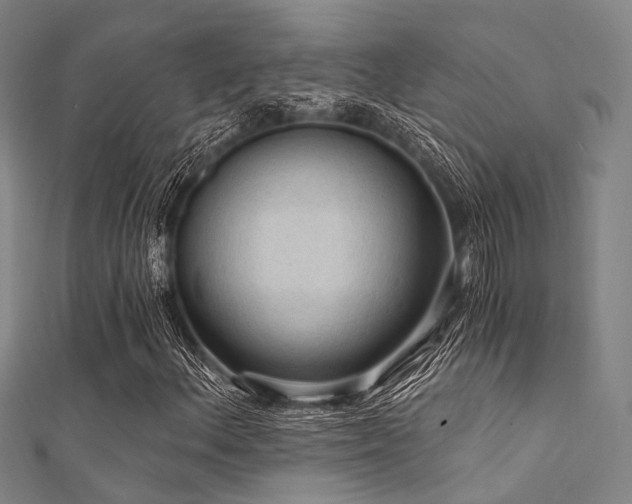 X0000112351156200908131422