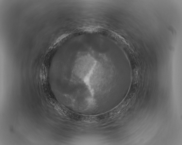 X0000112351158200908131422