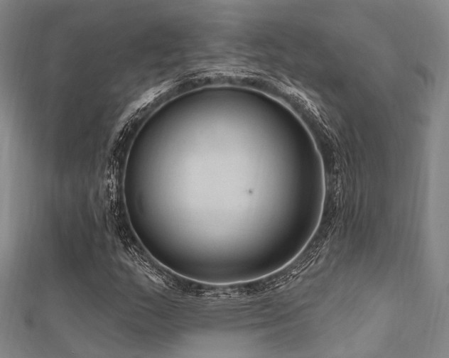 X0000112351159200908131422