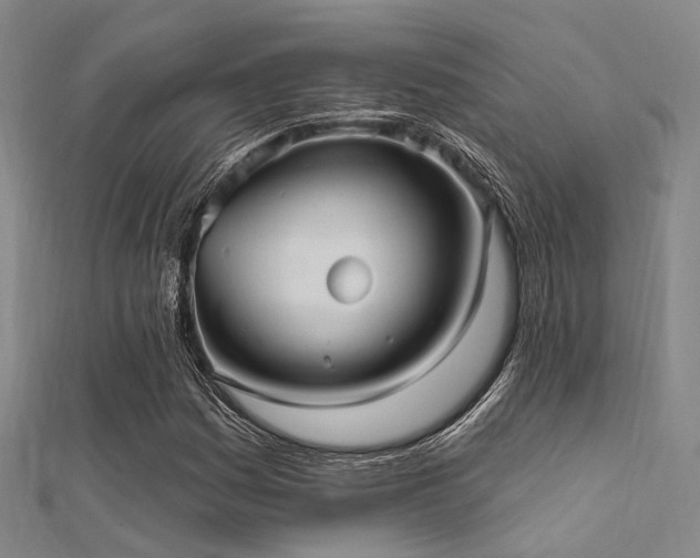 X0000112351161200908131422