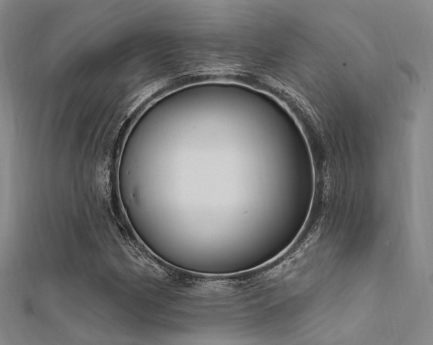 X0000112351162200908131422