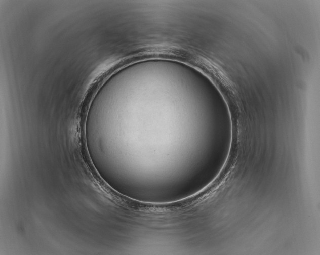 X0000112351164200908131422