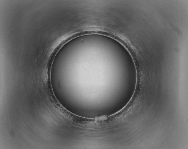 X0000112351167200908131422