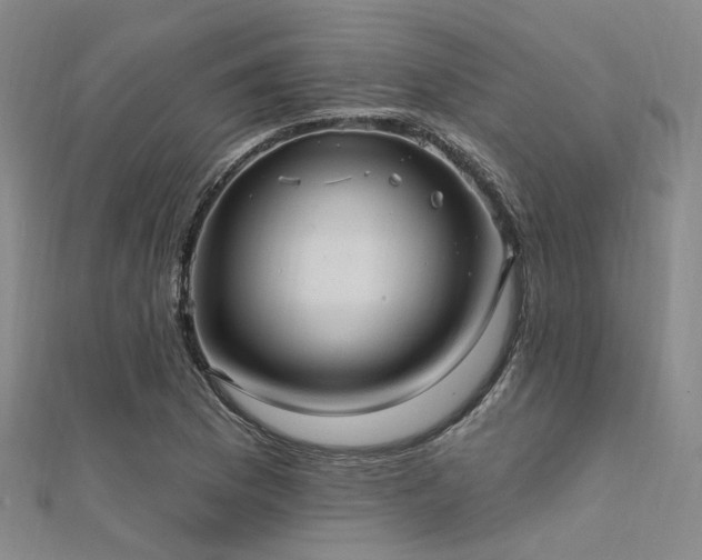 X0000112351169200908131422