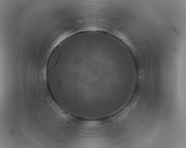X0000112351173200908131422