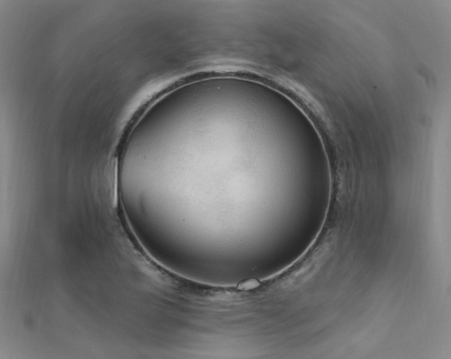 X0000112351175200908131422