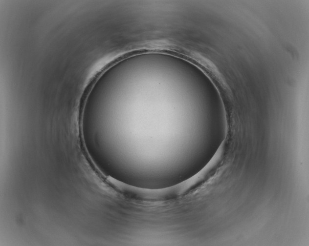 X0000112351176200908131422
