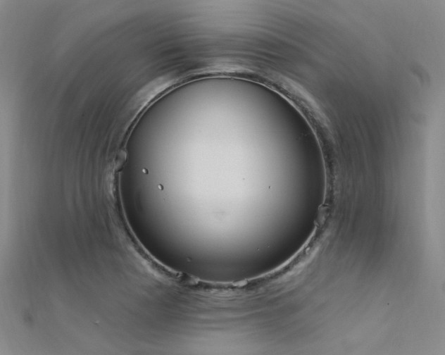 X0000112351177200908131422