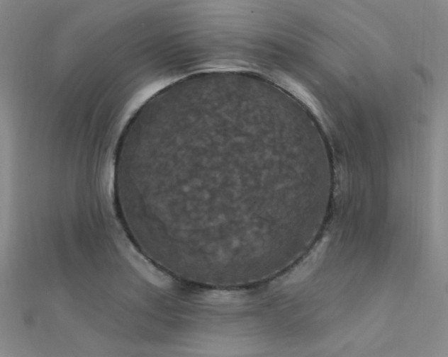 X0000112351179200908131422