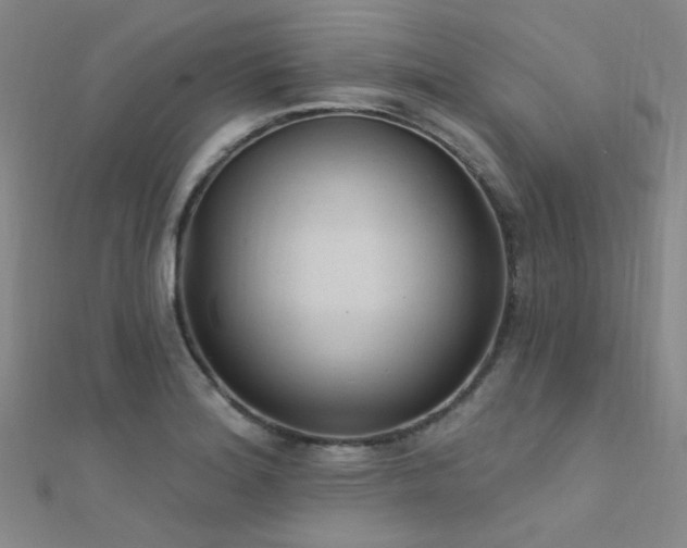 X0000112351180200908131422