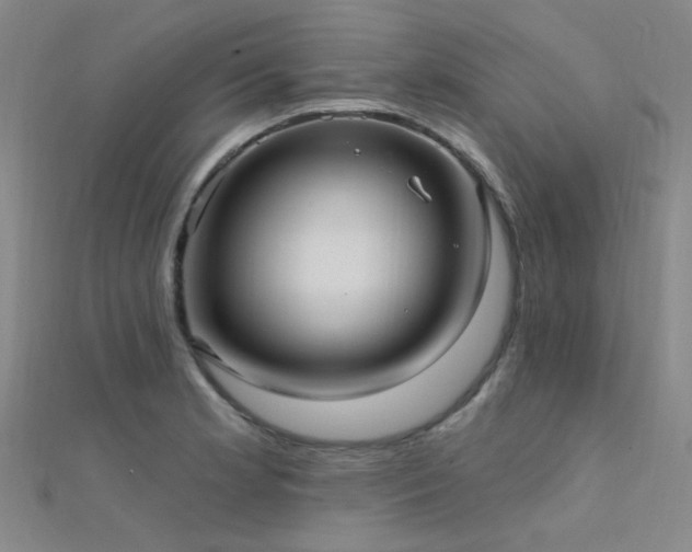 X0000112351181200908131422