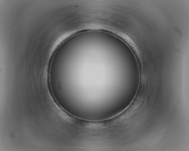 X0000112351183200908131422