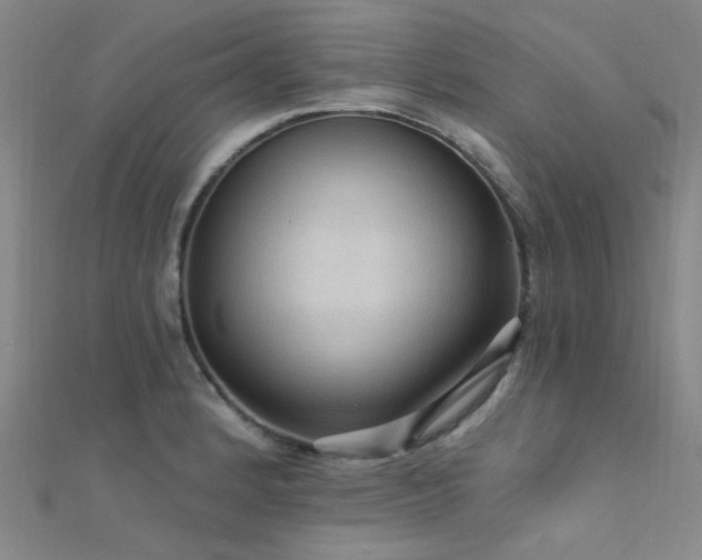 X0000112351184200908131422