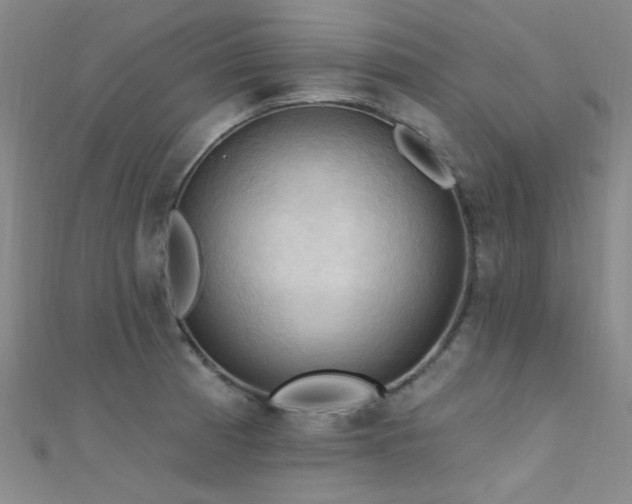 X0000112351185200908131422