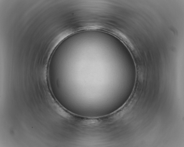 X0000112351186200908131422