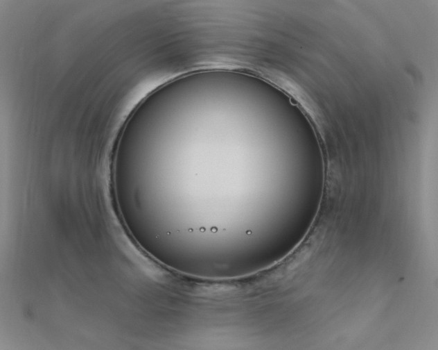 X0000112351187200908131422