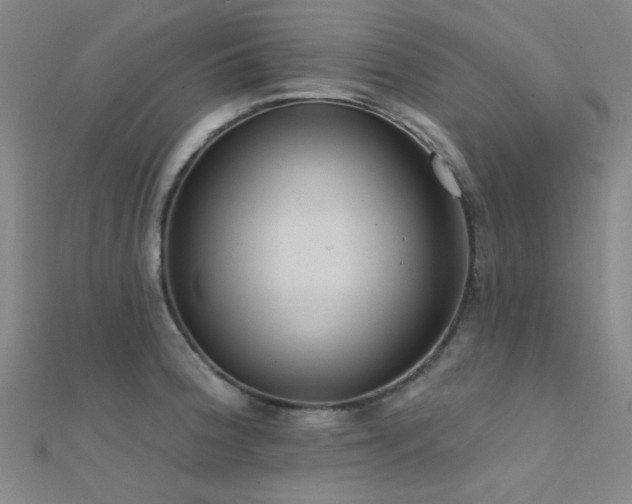 X0000112351188200908131422
