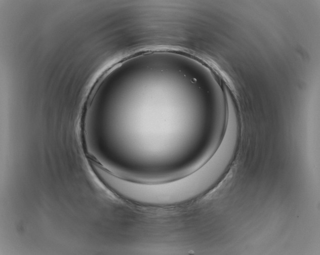 X0000112351189200908131422