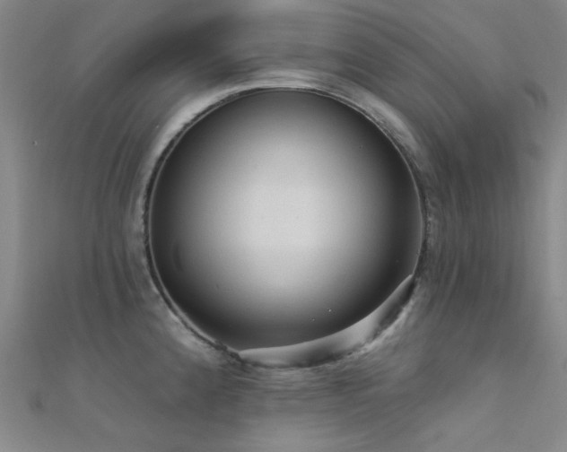 X0000112351192200908131422