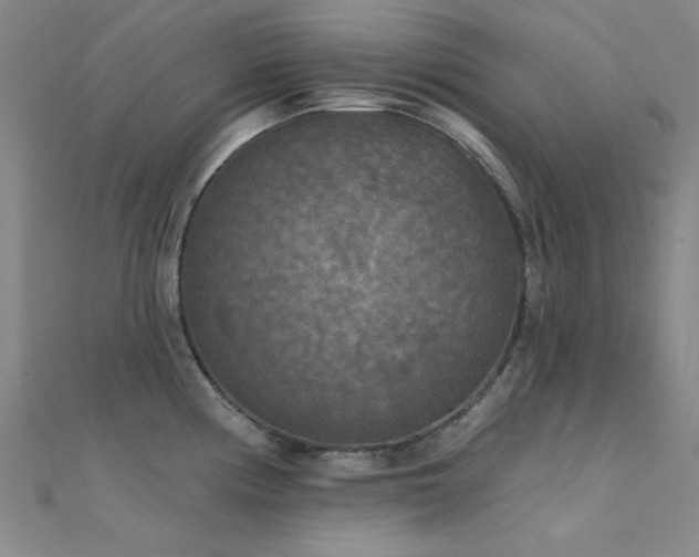 X0000112351194200908131422