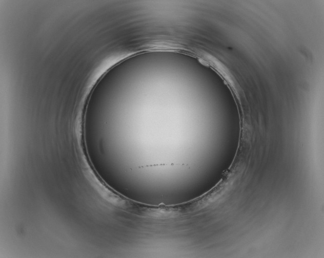 X0000112351195200908131422
